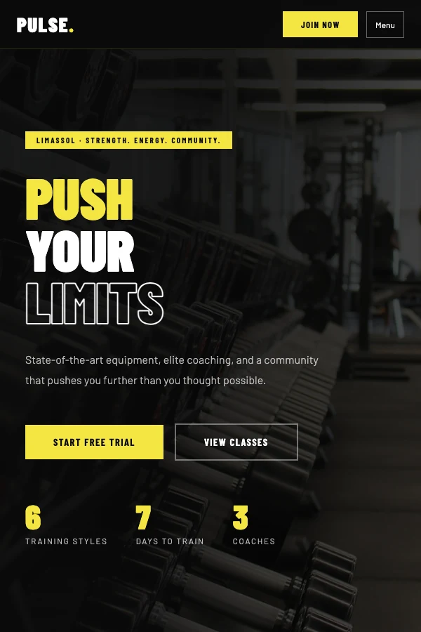 Pulse: fitness website design preview